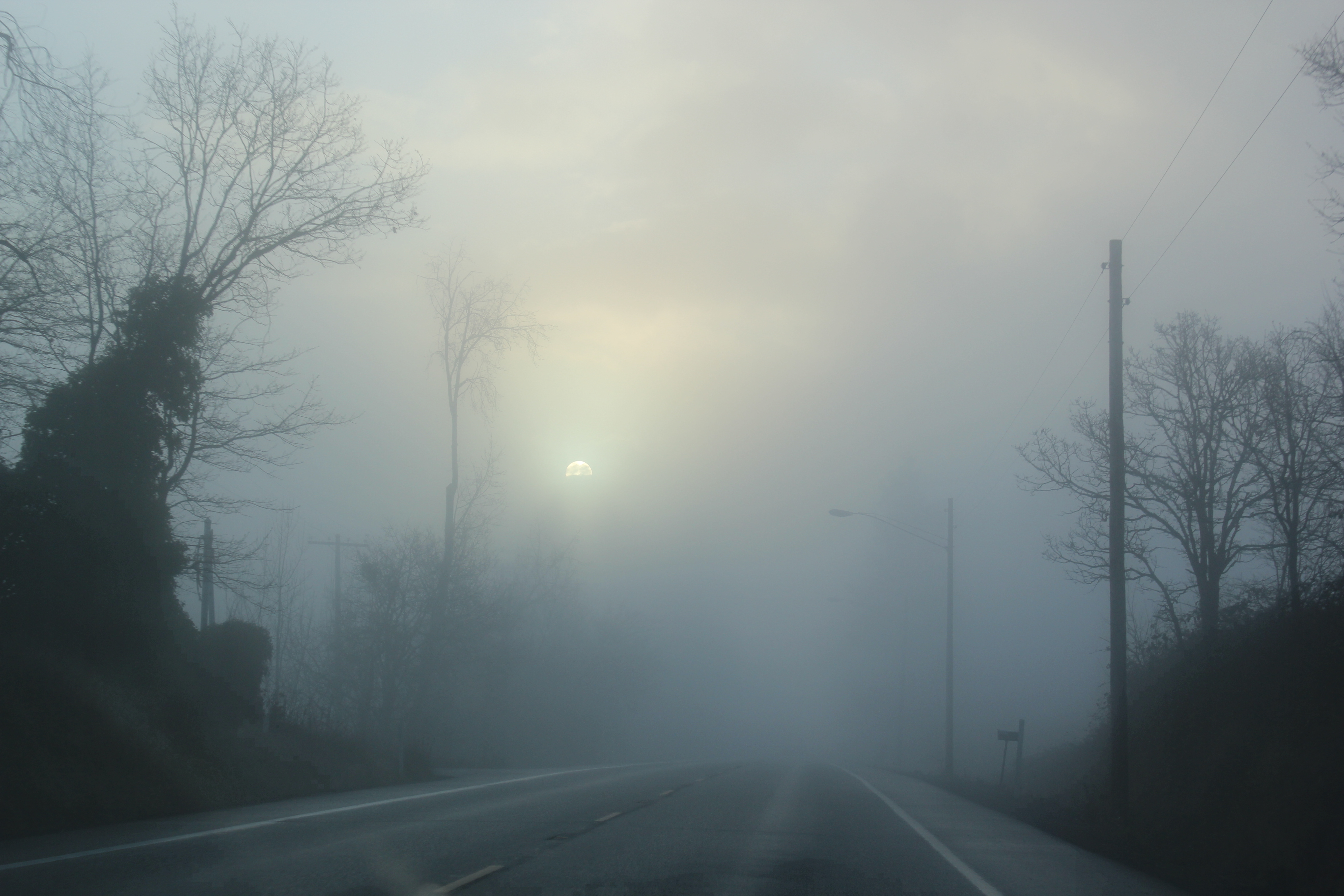 Туман иваново. Густой туман в городе. Город в тумане. Туманный город. Улица в тумане.